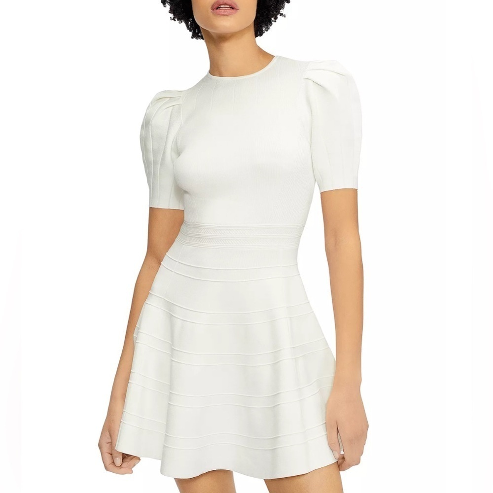 NWT Ted Baker Puffed‎ Sleeve Engineered Skirt Dress
